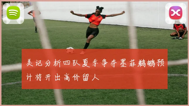 美记分析四队夏季争夺墨菲鹈鹕预计将开出高价留人